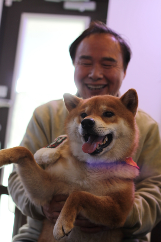 f:id:akita319:20151231230810j:image