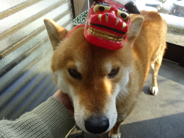 f:id:akita319:20151231230837j:image