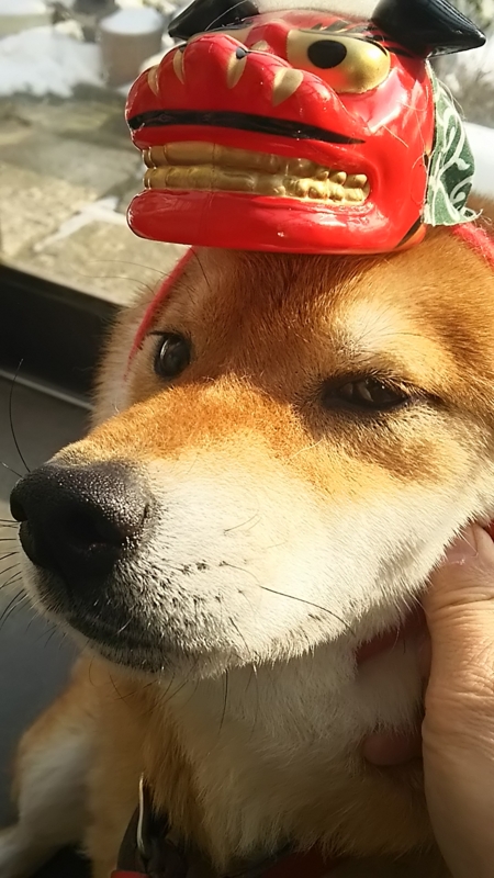 f:id:akita319:20151231235514j:image