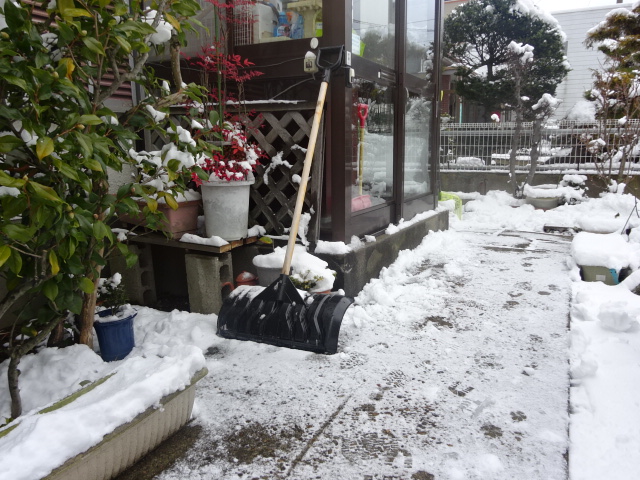 f:id:akita319:20160109105625j:image