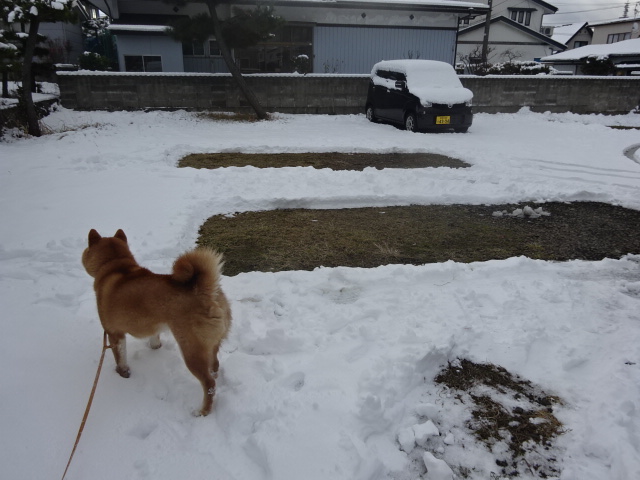 f:id:akita319:20160109105628j:image