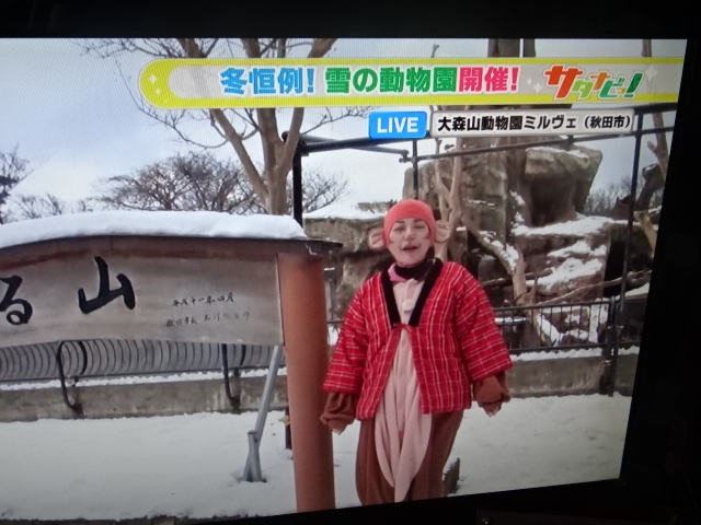 f:id:akita319:20160109105634j:image