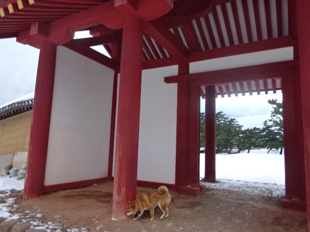 f:id:akita319:20160113110859j:image