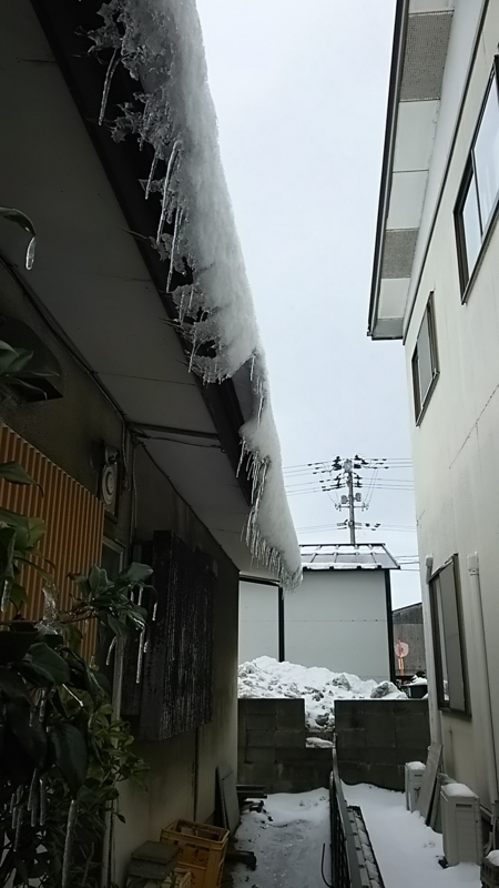 f:id:akita319:20160115140830j:image