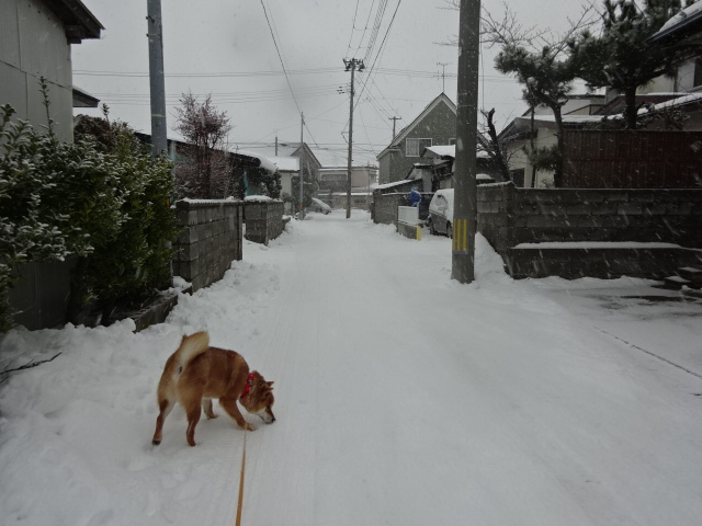 f:id:akita319:20160118100930j:image