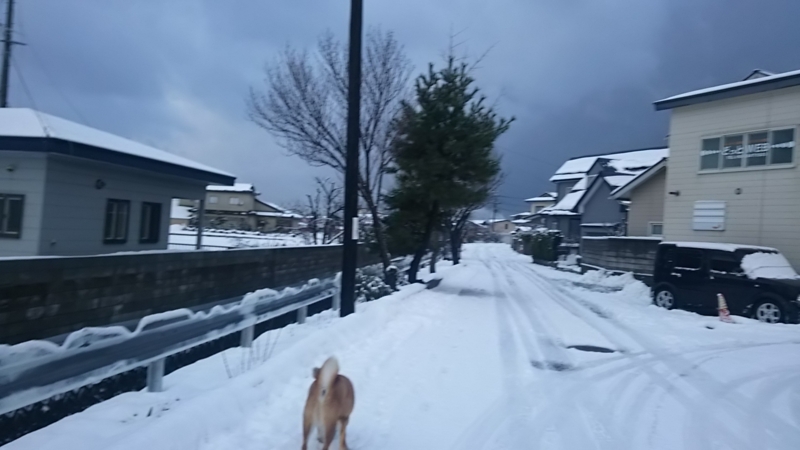 f:id:akita319:20160119084111j:image