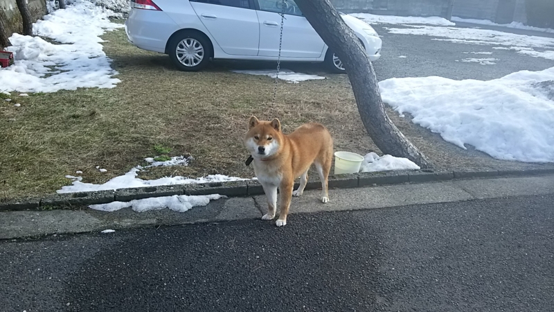 f:id:akita319:20160131191418j:image f:id:akita319:20160131191418j:image