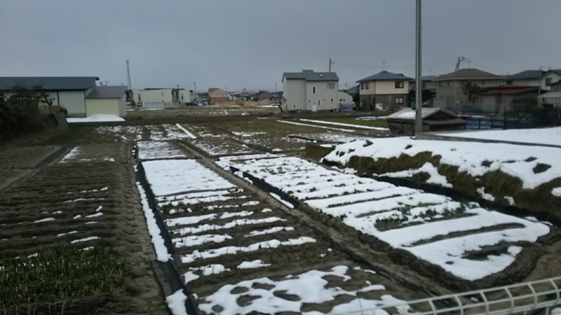 f:id:akita319:20160131193335j:image f:id:akita319:20160131193335j:image