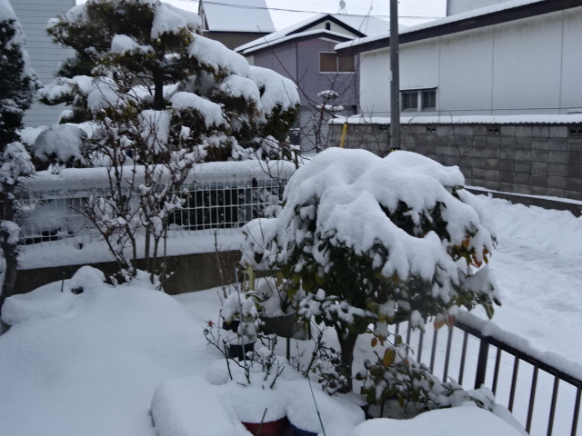 f:id:akita319:20160202073035j:image