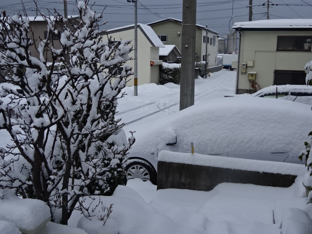 f:id:akita319:20160202073036j:image