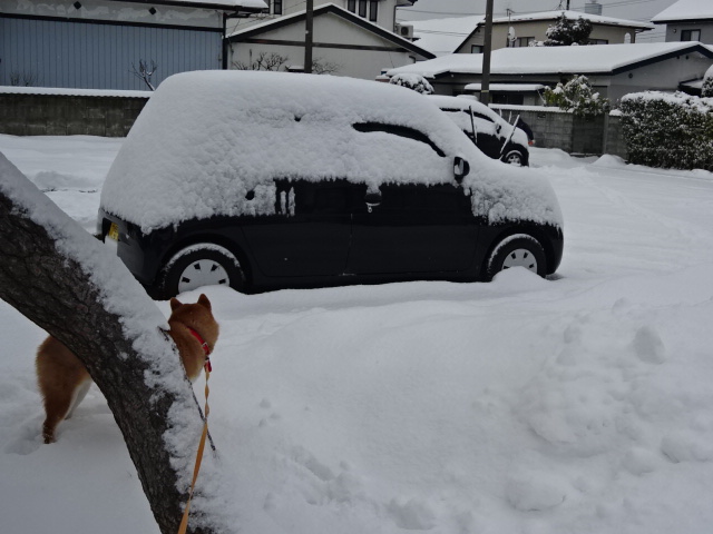 f:id:akita319:20160202085403j:image