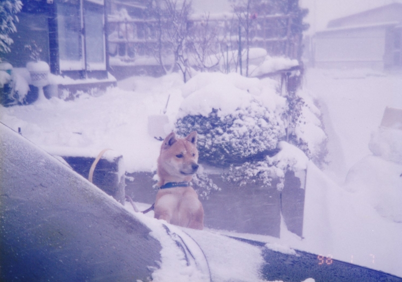 f:id:akita319:20160202103140j:image f:id:akita319:20160202103140j:image