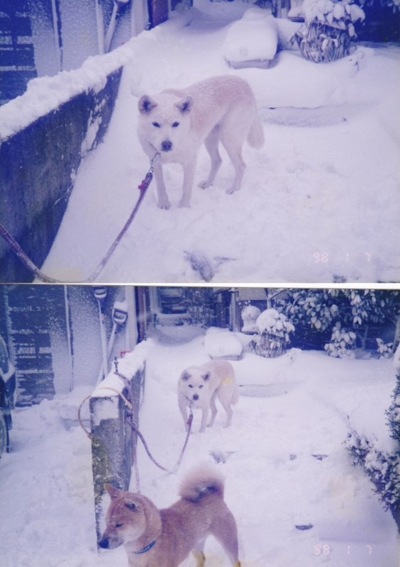 f:id:akita319:20160202103144j:image f:id:akita319:20160202103144j:image