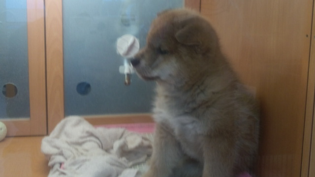 f:id:akita319:20160202104337j:image f:id:akita319:20160202104337j:image
