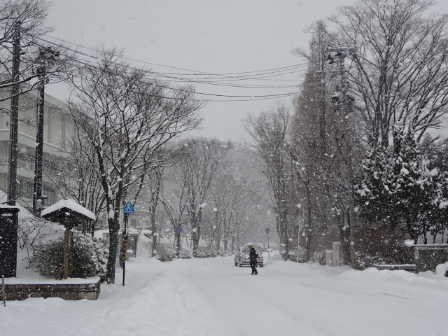 f:id:akita319:20160203194418j:image