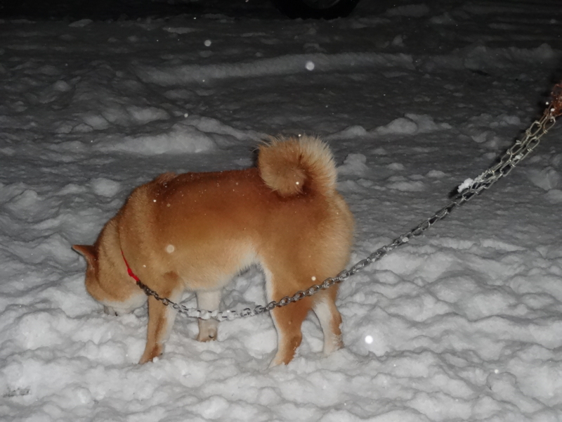 f:id:akita319:20160215214435j:image