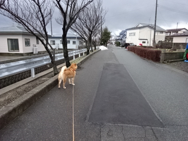 f:id:akita319:20160219073614j:image f:id:akita319:20160219073614j:image