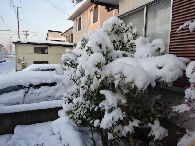 f:id:akita319:20160228084521j:image f:id:akita319:20160228084521j:image