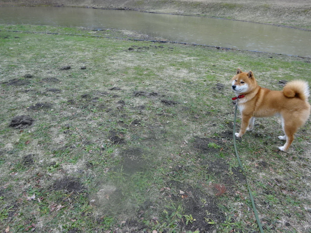 f:id:akita319:20160307072103j:image f:id:akita319:20160307072103j:image