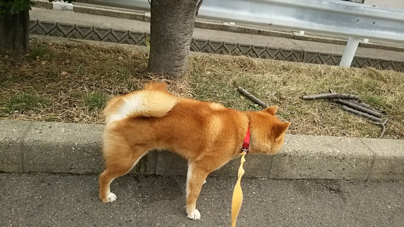 f:id:akita319:20160310071550j:image f:id:akita319:20160310071550j:image