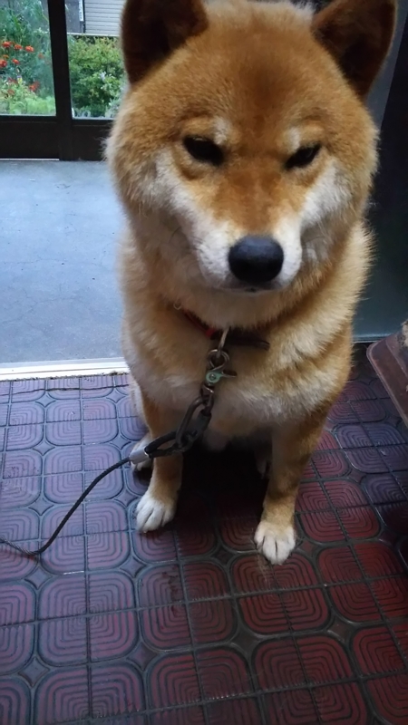 f:id:akita319:20160422062112j:image f:id:akita319:20160422062112j:image