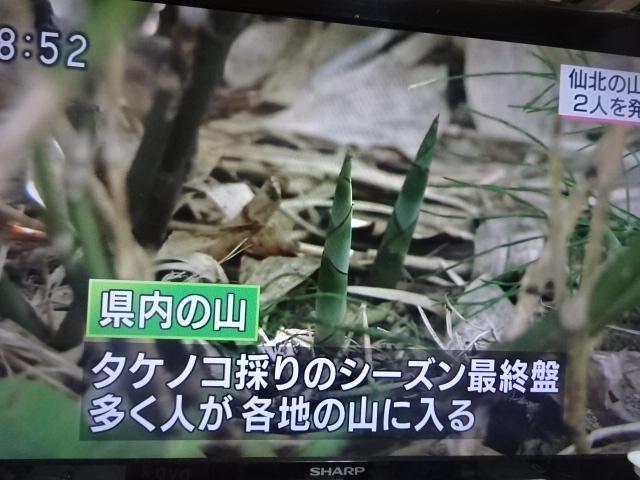 f:id:akita319:20160613214414j:image f:id:akita319:20160613214414j:image