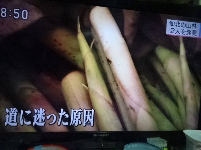f:id:akita319:20160613214416j:image f:id:akita319:20160613214416j:image