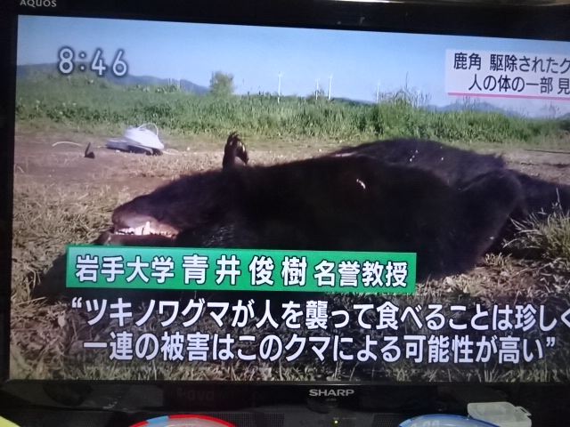 f:id:akita319:20160613214420j:image f:id:akita319:20160613214420j:image