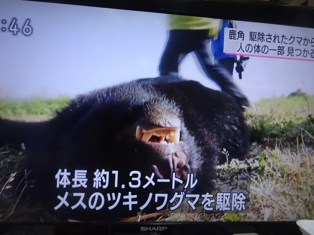 f:id:akita319:20160613214423j:image f:id:akita319:20160613214423j:image