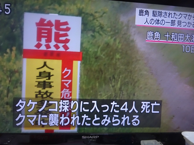 f:id:akita319:20160613214424j:image f:id:akita319:20160613214424j:image
