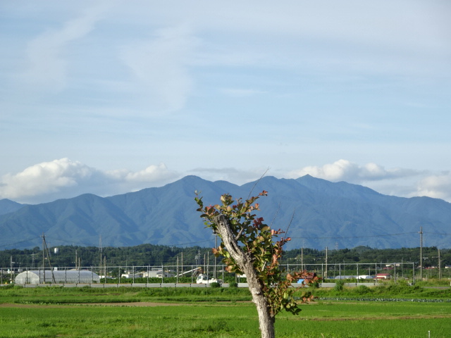 f:id:akita319:20160628063448j:image