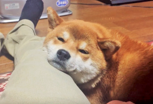 f:id:akita319:20160808070620p:image