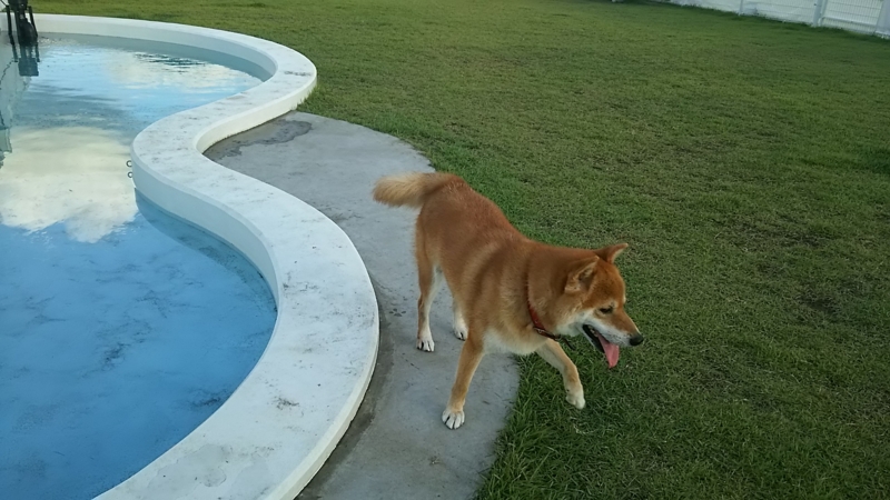 f:id:akita319:20160822062709j:image