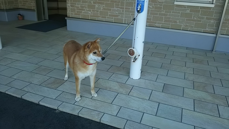 f:id:akita319:20160822062715j:image