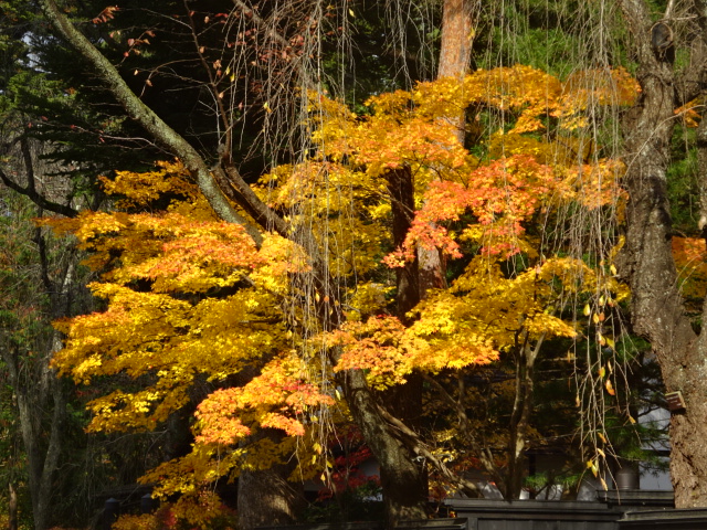 f:id:akita319:20161106193045j:image f:id:akita319:20161106193045j:image