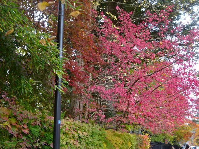 f:id:akita319:20161106193056j:image f:id:akita319:20161106193056j:image