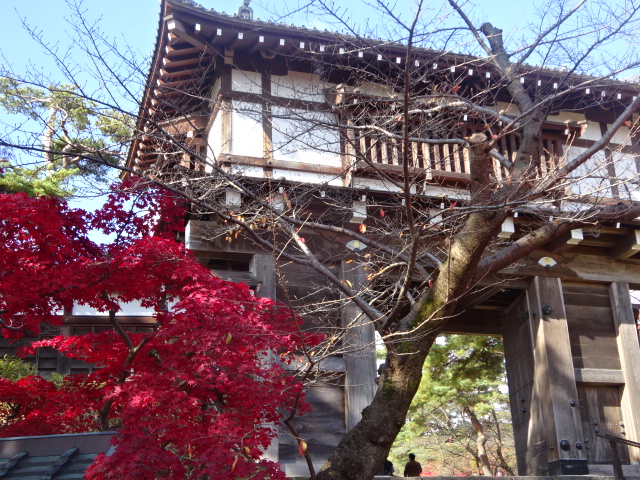 f:id:akita319:20161112160646j:image