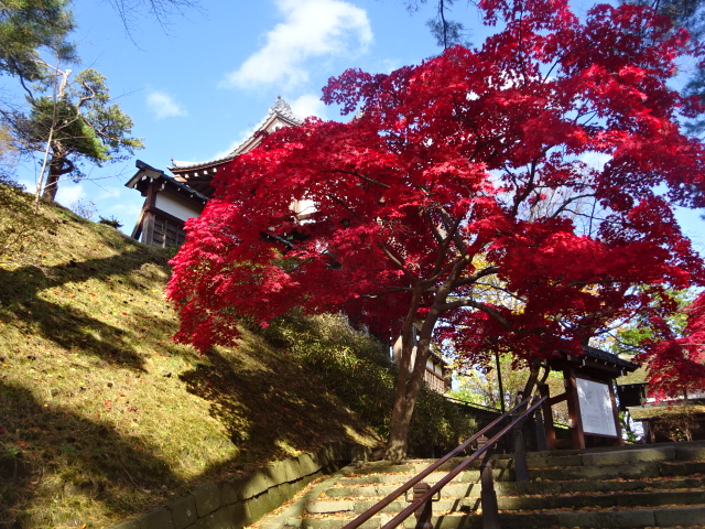 f:id:akita319:20161112160648j:image