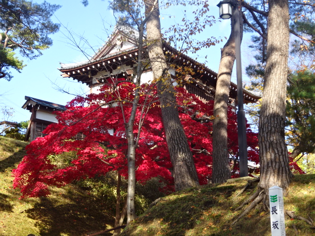 f:id:akita319:20161112160650j:image