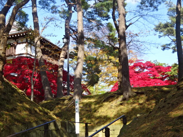 f:id:akita319:20161112160651j:image