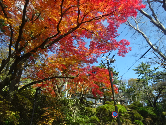 f:id:akita319:20161112160655j:image