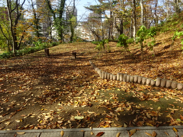 f:id:akita319:20161112160832j:image
