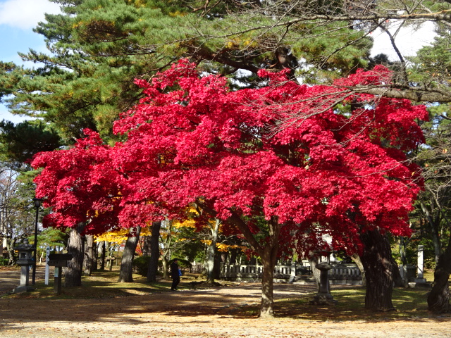 f:id:akita319:20161112160836j:image