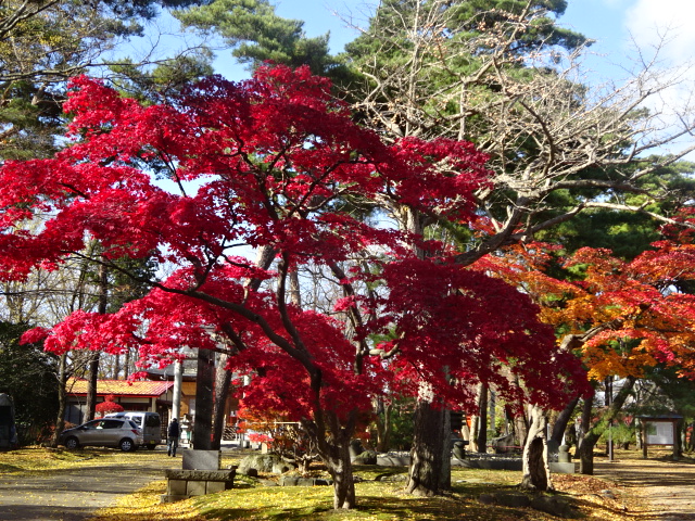 f:id:akita319:20161112160837j:image