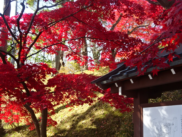 f:id:akita319:20161112160841j:image