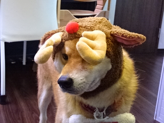 f:id:akita319:20161224012851j:image