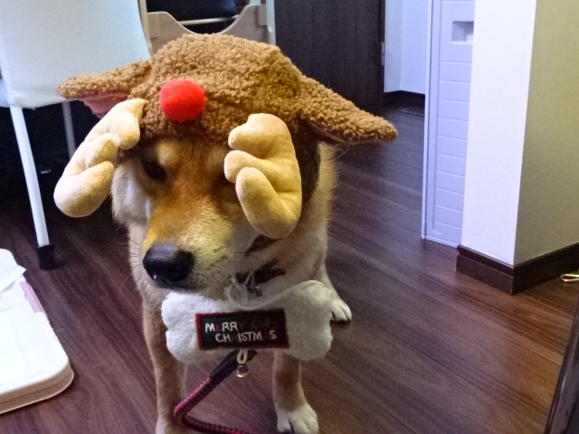 f:id:akita319:20161224012852j:image