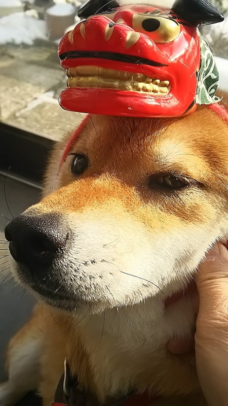 f:id:akita319:20170101001719j:image