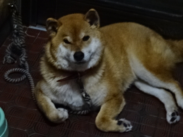 f:id:akita319:20170124090423j:image f:id:akita319:20170124090423j:image
