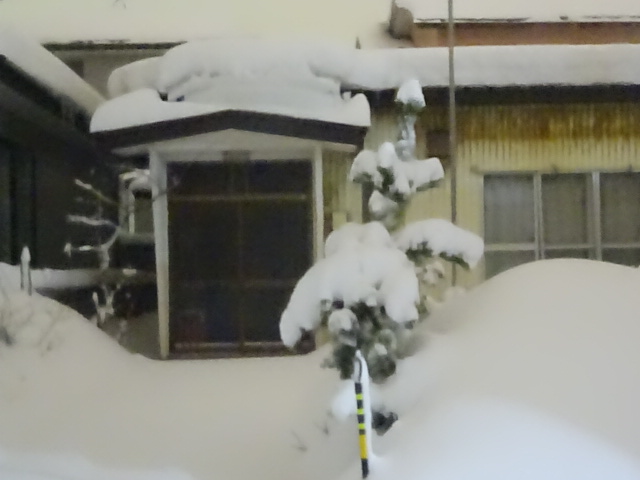 f:id:akita319:20170124090424j:image f:id:akita319:20170124090424j:image